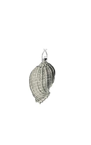 Elegant Shell Figure Art Print