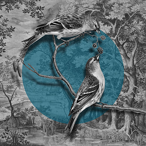 Woodland Birds Teal Accent Art Print