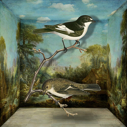Painted Birds in Landscape Art Print