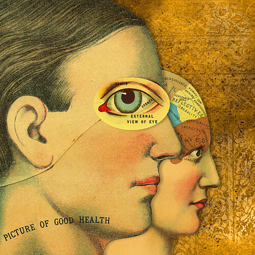 Good Health Phrenology Gold Print