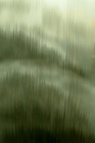 Misty Forest Serenity Art Print
