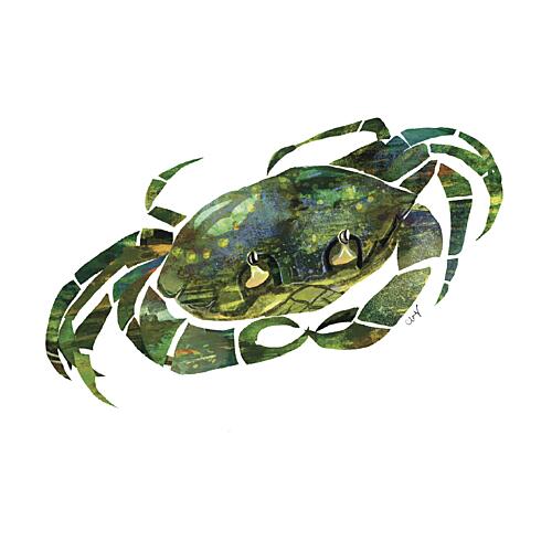 Textured Green Crab Art Print by Claire Hanley