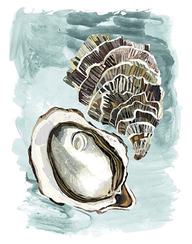 Ocean Fresh Oysters Art Print by Claire Hanley