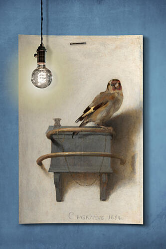 Goldfinch and Warm Light Gold Print