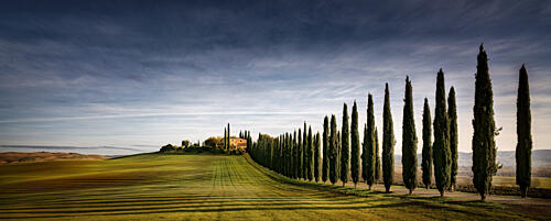 Tuscan Cypress Road Art Print by Dieter Weck