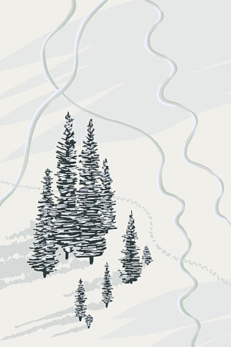 Snowy Forest Pines Art Print