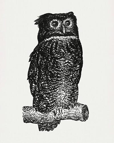 Owl Art Print by Leo Gestel
