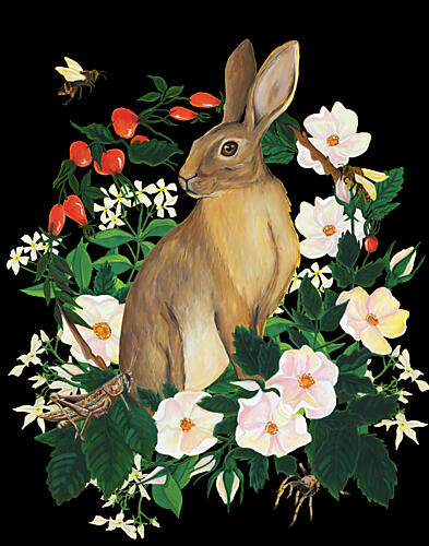 Wild Rabbit and Flowers Art Print