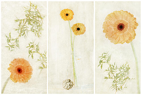 Soft Gerbera Triptych Art Print