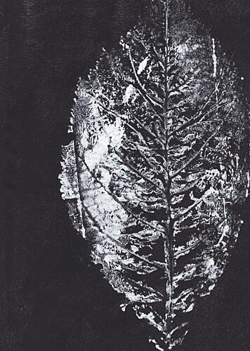 White Leaf Impression Art Print