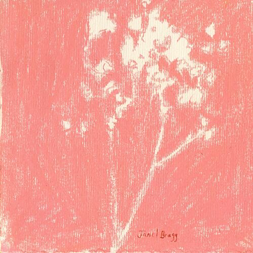 Delicate Peach Bloom Art Print