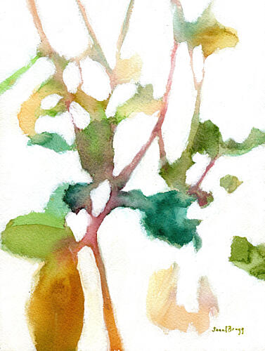 Fluid Botanical Abstract Art Print