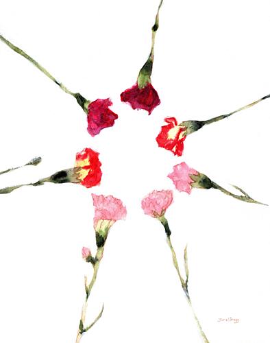 Colorful Carnation Blooms Art Print
