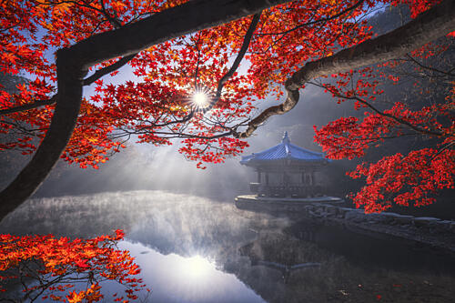 Misty Autumn Pagoda Gold Print