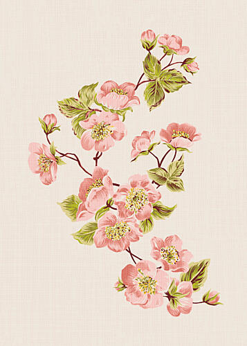 Delicate Pink Blossoms Art Print