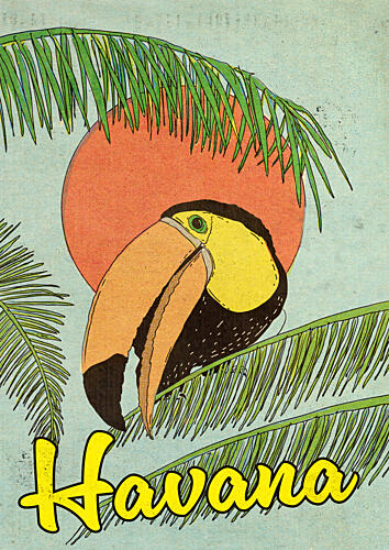 Vintage Havana Toucan Art Print