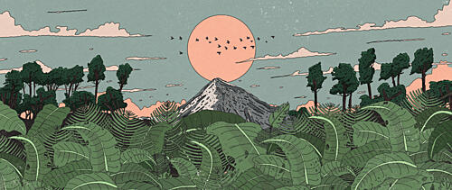 Tropical Mountain Sunrise Art Print