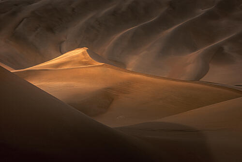 Golden Desert Dunes Art Print by Unknown