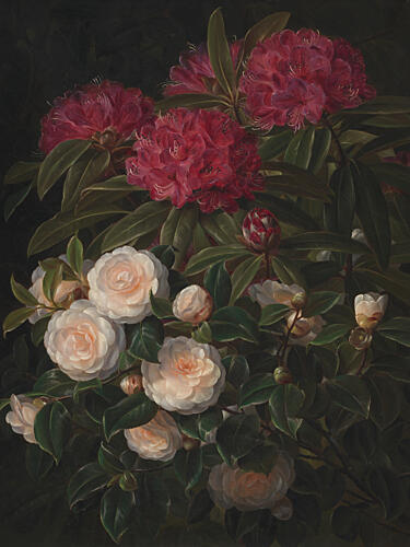 Camellias and Rhododendrons by Johan Laurentz Jensen Art Print