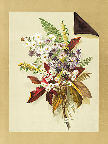 Daisies and Autumn Leaves and Ferns Art Print
