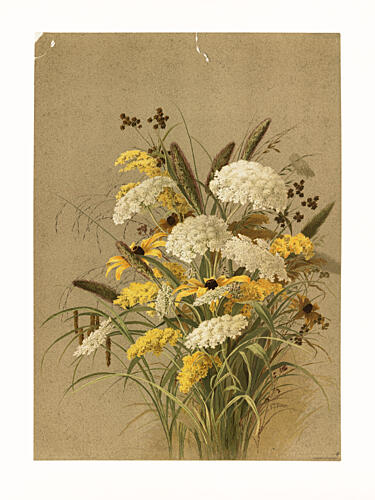 Hemlock, Ox Eye Grasses and Golden Rod Art Print by Ellen Thayer Fisher