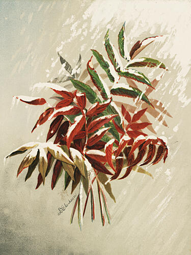 Leaves in Snow Art Print by Louise Clarkson Whitelock