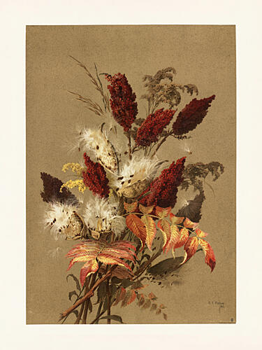 Sumac and Milkweed by Ellen Thayer Fisher Art Print by Pictufy