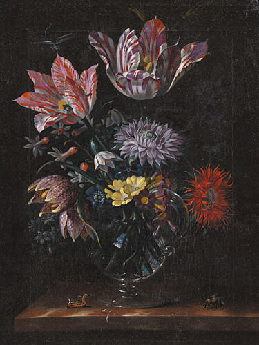 Unknown by Jacob Marrel Art Print by Pictufy