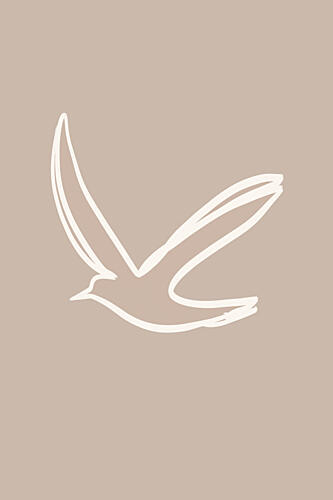 Seagull Art Print