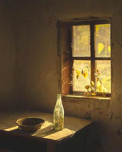 Golden Window Light Gold Print