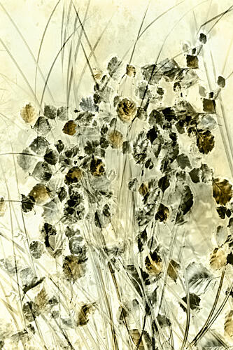 Ethereal Botanical Forms Art Print