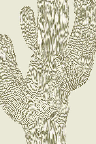 Desertlinesno02 Art Print