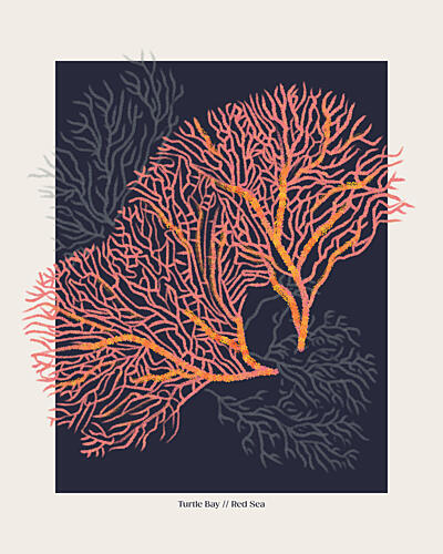 Red Sea Fan Corals Art Print