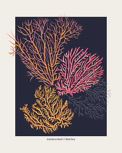 Colorful Red Sea Coral Art Print