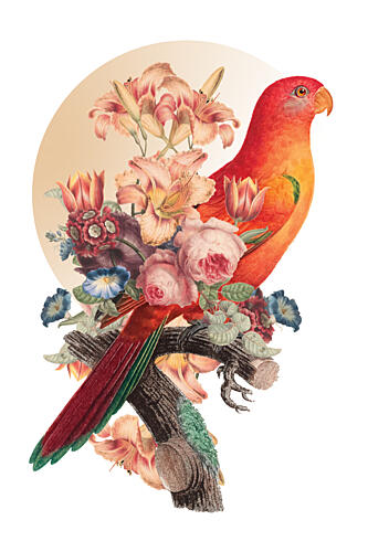 Vibrant Floral Parrot Art Print