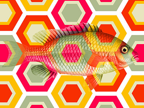 Vibrant Geometric Fish Art Print