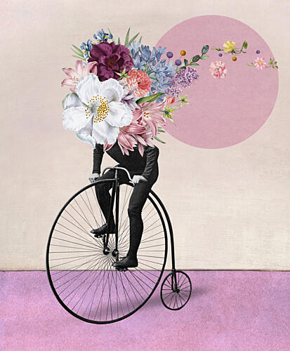 Flower Head Penny Farthing Art Print