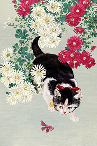 Curious Kitten Butterfly Art Print
