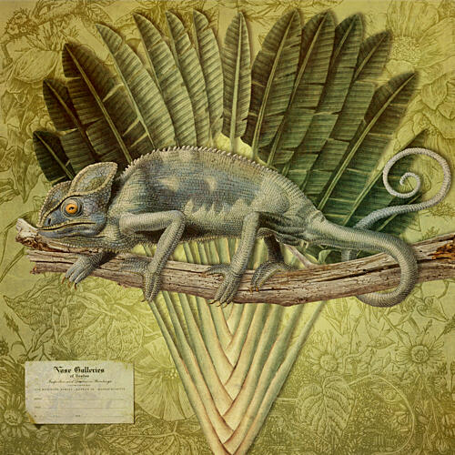 Tropical Chameleon Perched Art Print