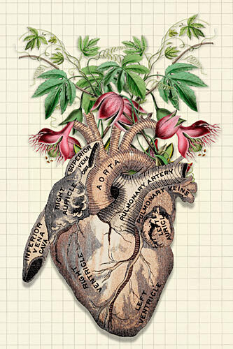 Flowering Anatomical Heart Art Print
