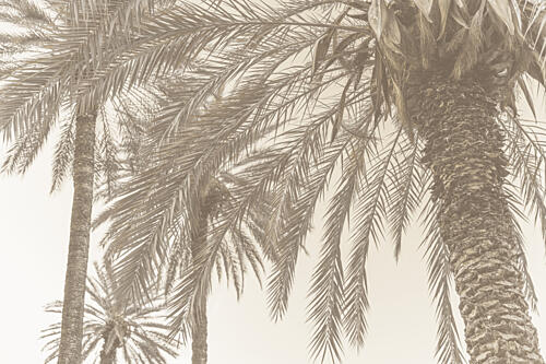 Sicilian Memories 12 Art Print