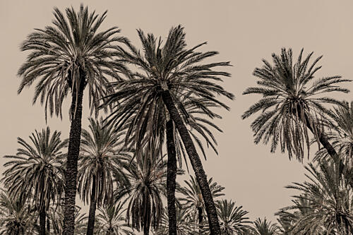 Sicilian Memories 15 Art Print