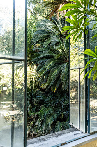 City Oasis 1 Art Print