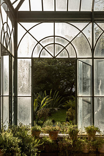 Botanical Garden 2 Art Print