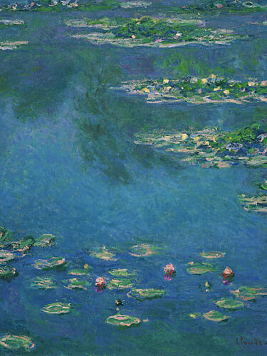 Water Lilies Reflection Art Print