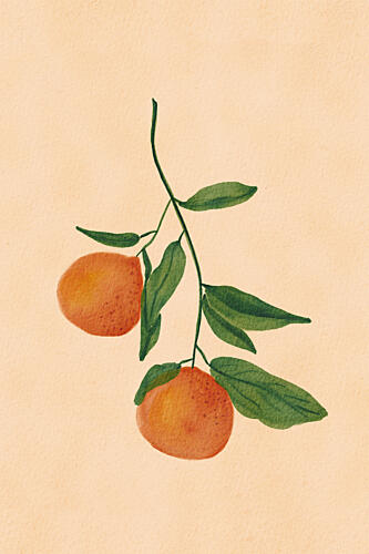 Orangesbranch Art Print