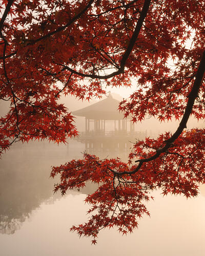 Misty Autumn Gazebo Art Print by Dmitry Razr