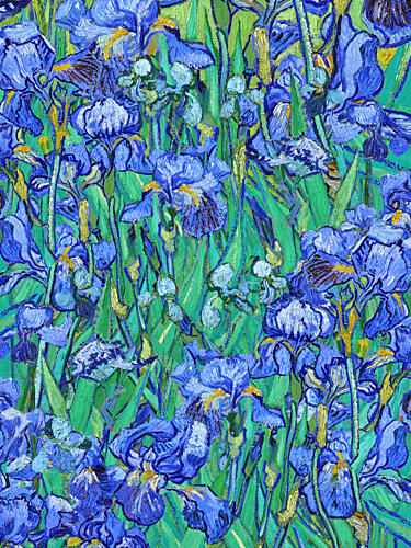 Painterly Blue Irises Art Print