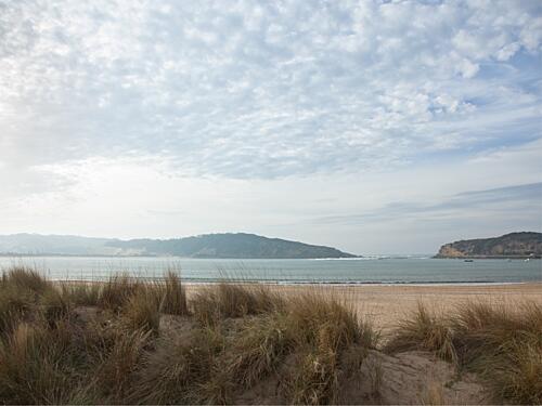 Serene Coastal Dunes Art Print