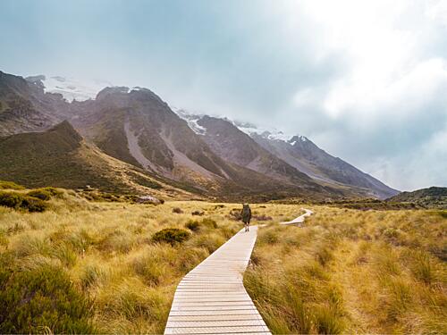 Vast Mountain Trail Gold Print